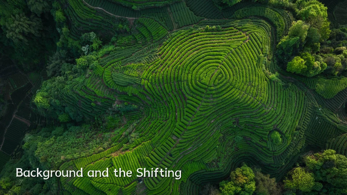 Background and the Shifting