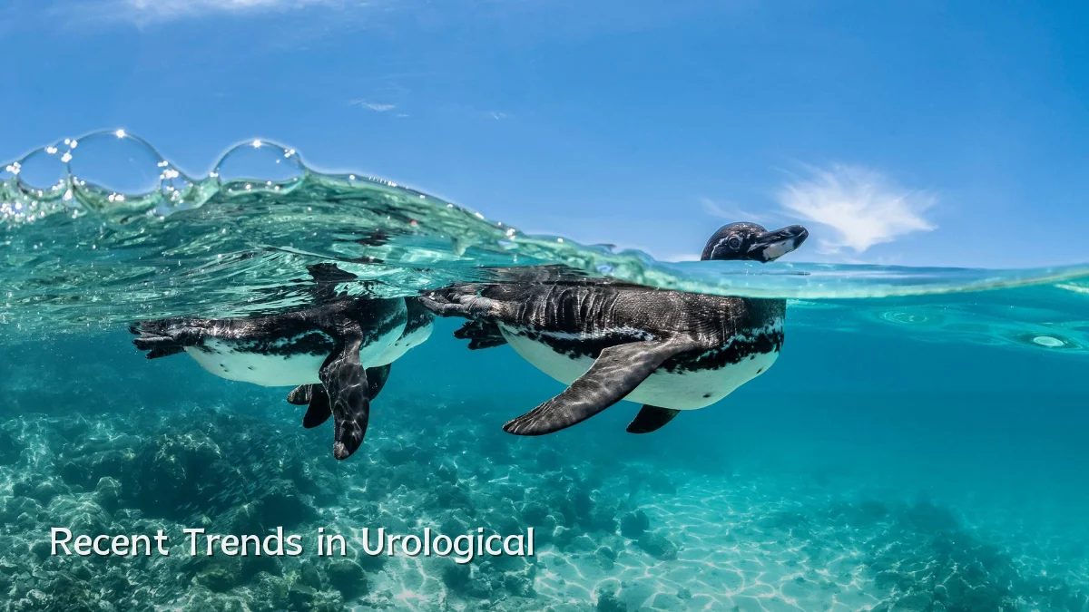 Recent Trends in Urological