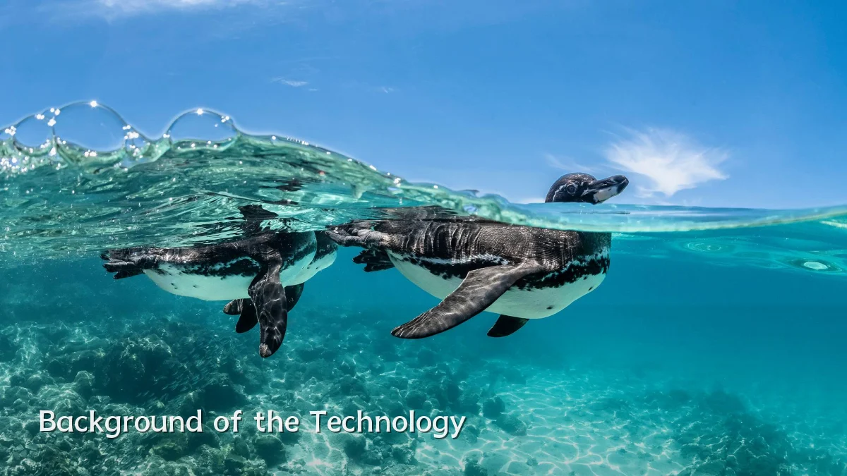 Background of the Technology