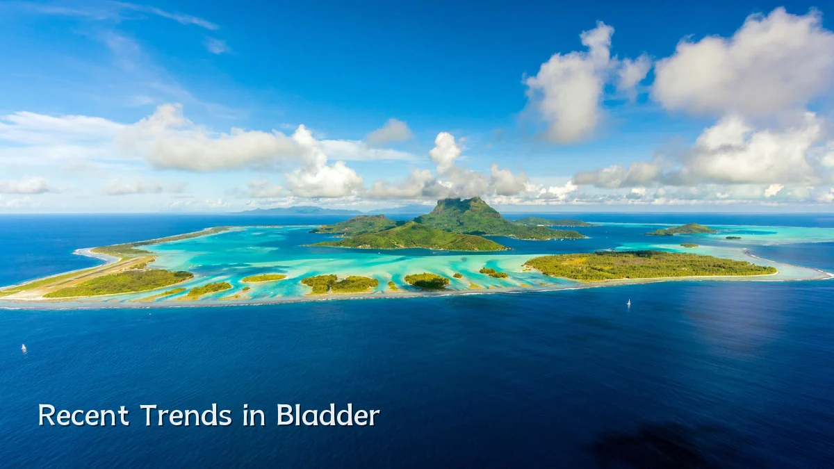 Recent Trends in Bladder