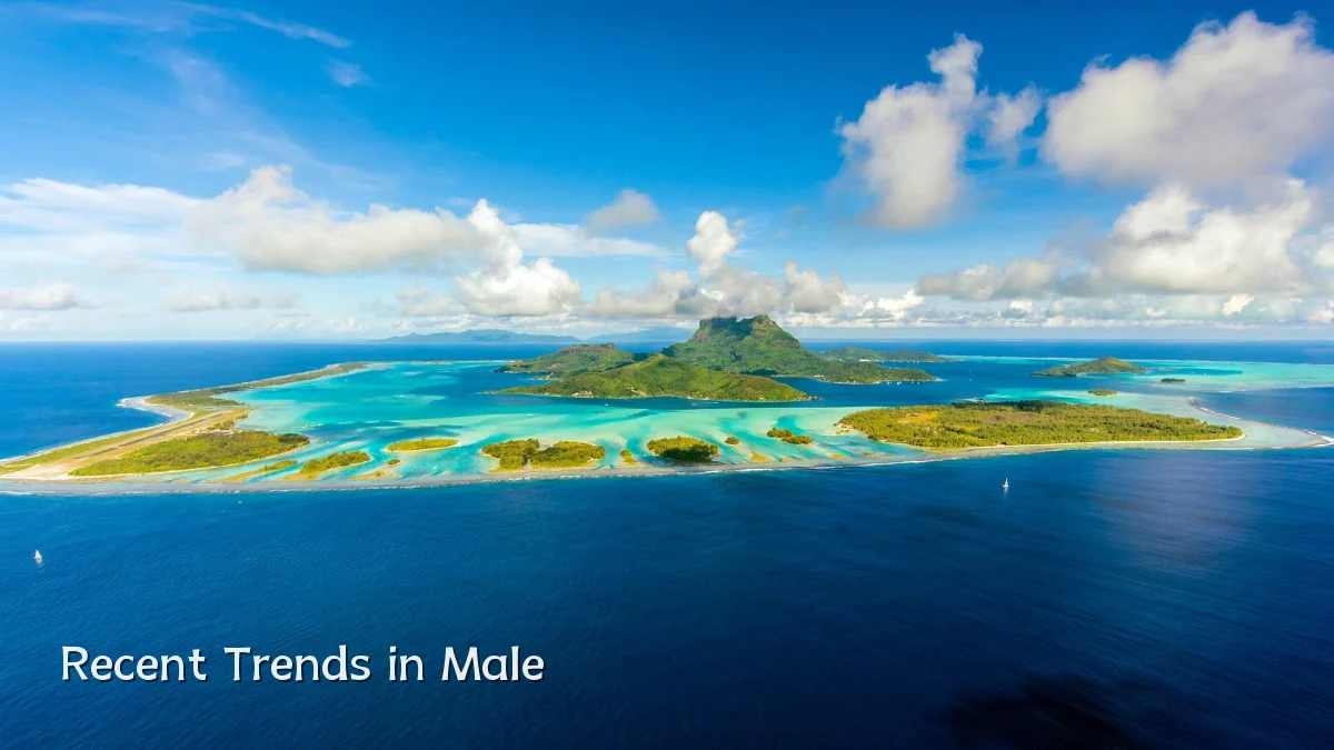 Recent Trends in Male