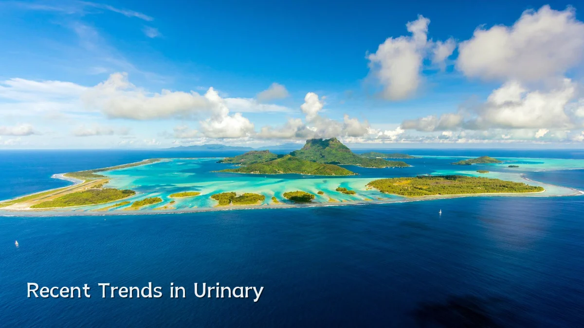 Recent Trends in Urinary