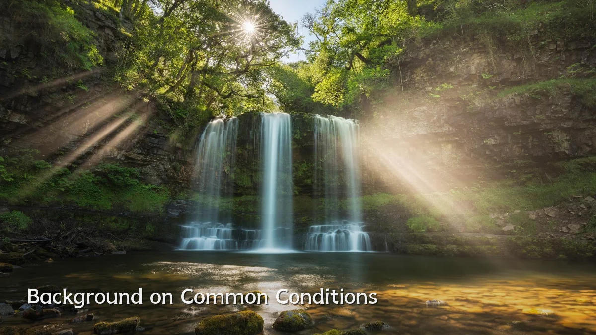 Background on Common Conditions