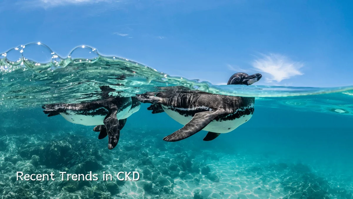 Recent Trends in CKD