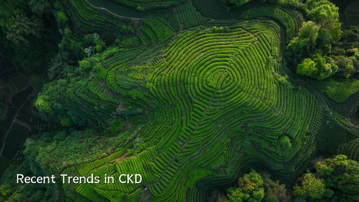 Recent Trends in CKD