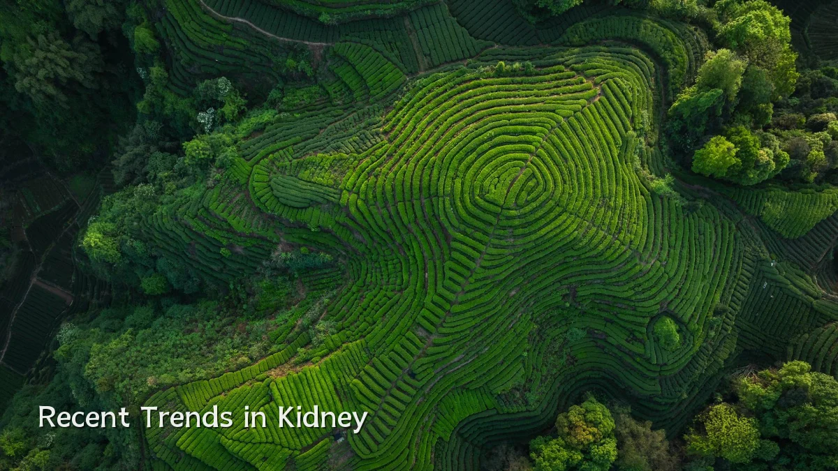 Recent Trends in Kidney